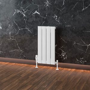 Eastbrook Addington Type 10 Gloss White Aluminium Designer Radiator 600 x 292mm