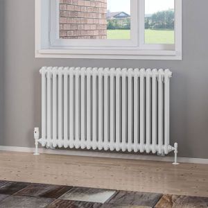 Eastbrook Rivassa Gloss White 2 Column Radiator 600 x 1010mm