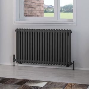 Eastbrook Rivassa Matt Anthracite 2 Column Radiator 600 x 1010mm