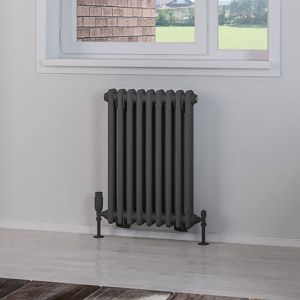 Eastbrook Rivassa Matt Anthracite 2 Column Radiator 600 x 428mm