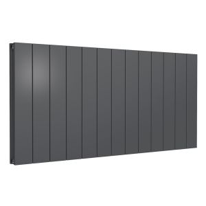 Reina Casina Anthracite Double Panel Designer Radiator 600 x 1230mm